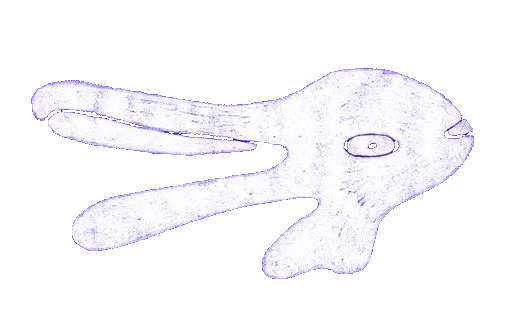 Shapeshift